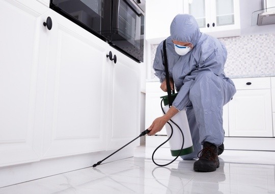 Pest Control Boca Raton
