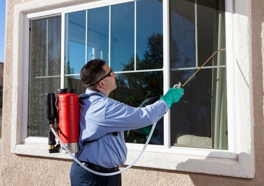 Pest Control Charleston