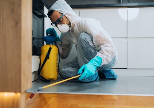 Pest Control Dayton