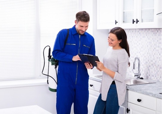 Pest Control Palmdale