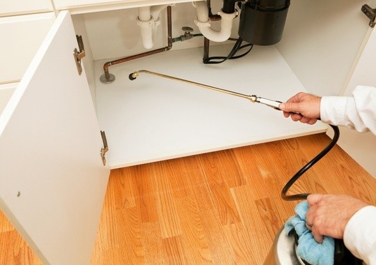 Pest Control Tempe