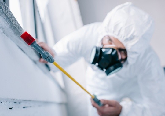 Pest Control North Charleston