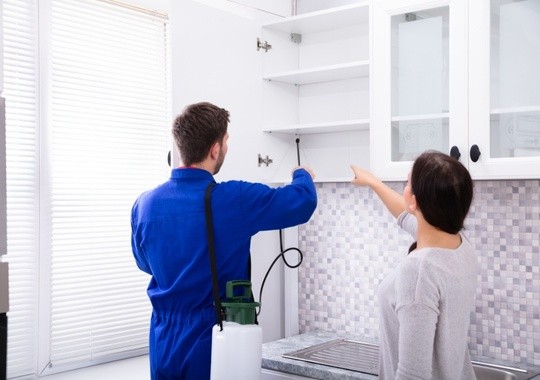 Pest Control Temecula