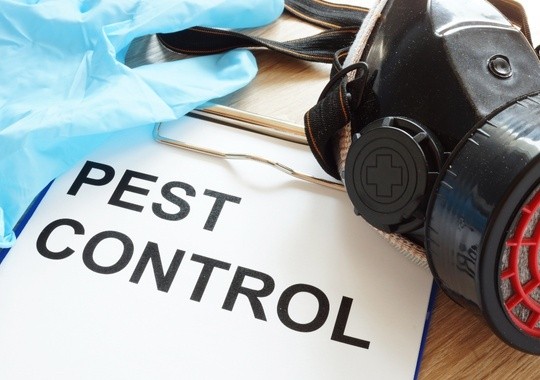 Pest Control Antioch