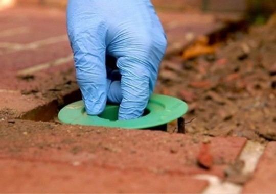 Pest Control Grand Prairie