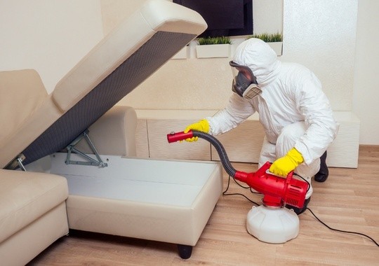 Pest Control Mount Pleasant