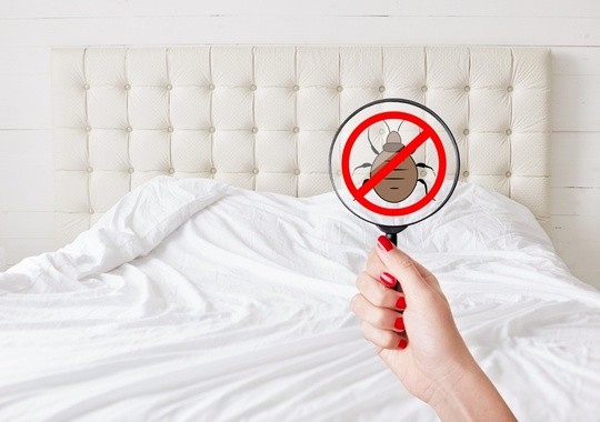Pest Control Roseville
