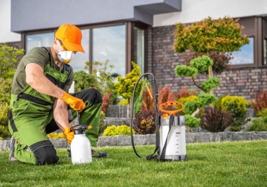 Pest Control West Valley City