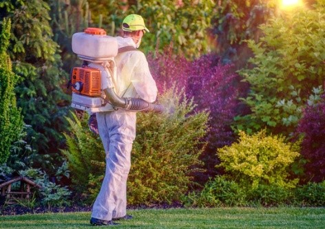Pest Control Norwalk