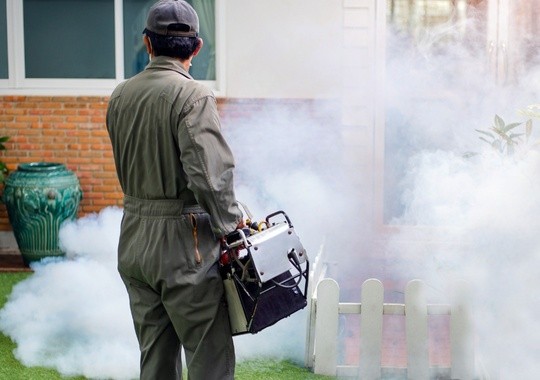 Pest Control Warwick