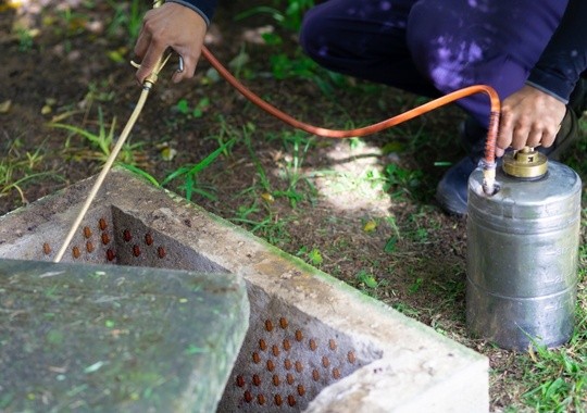 Pest Control Coral Springs