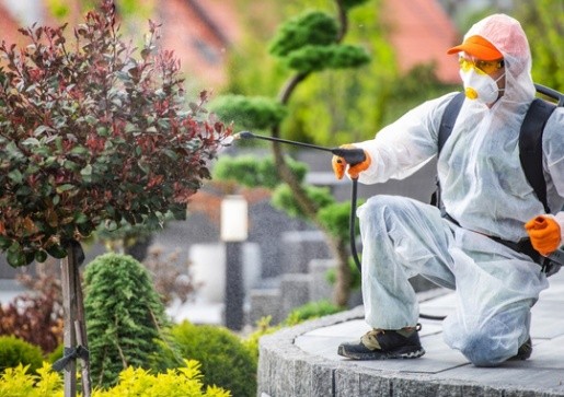 Pest Control Salt Lake City