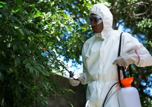 Pest Control Plantation