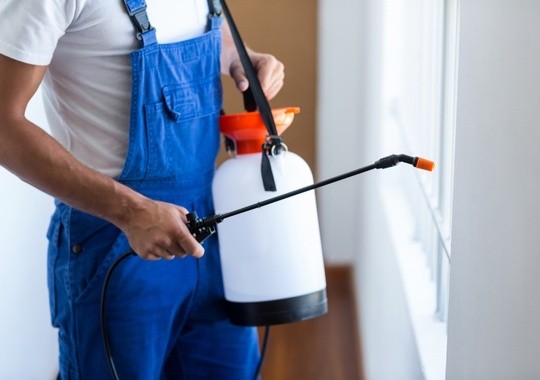 Pest Control McAllen